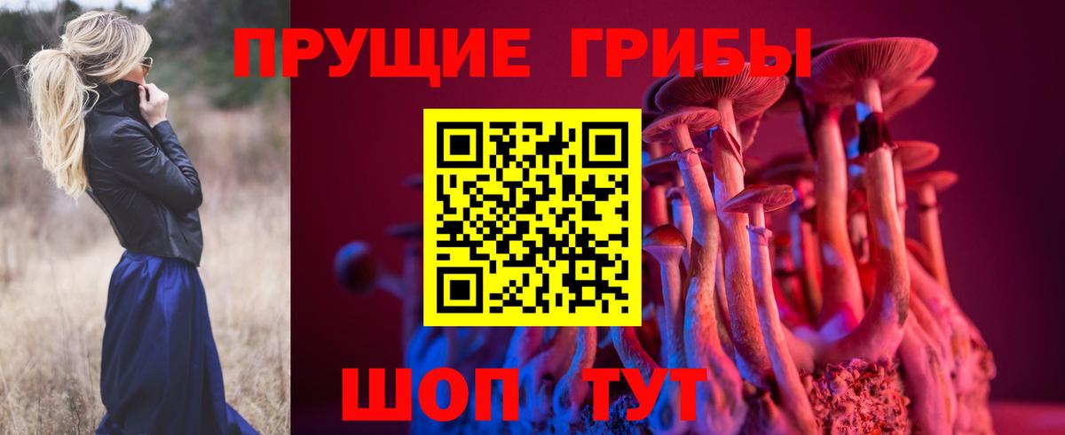 Псилоцибиновые грибы мицелий Усть-Илимск